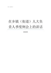 在乡镇街道人大负责人季度例会上的讲话乡镇人大代表