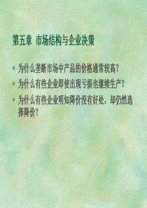 市场结构与企业决策