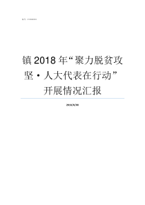 镇2018年聚力脱贫攻坚人大代表在行动开展情况汇报