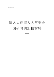 镇人大在市人大常委会调研时的汇报材料