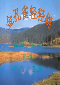 金孔雀轻轻跳课件(参赛)