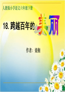 公开课《跨越百年的美丽》教学课件