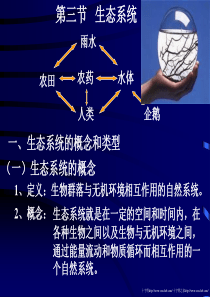生态系统的概念和类型-高中一年级生物课件