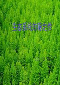 生态系统的稳定性课件(修改)