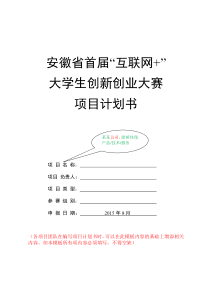 “互联网+”大赛项目计划书模板
