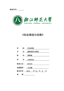 DIY手工坊创业计划书1