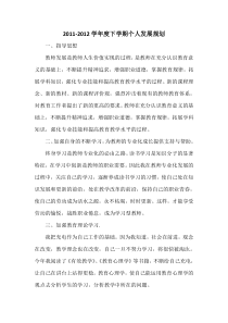 化学教师个人成长规划-(2)