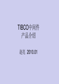 几类中间件和对应的TIBCO产品