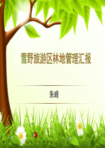 林地管理汇报
