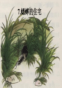 7蟋蟀的住宅第一课时]