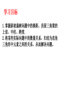 24.3解直角三角形应用(5)