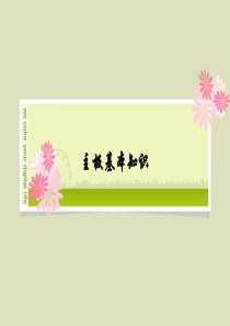 主板基本知识教材