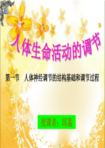 人体神经调节的结构基础和调节过程