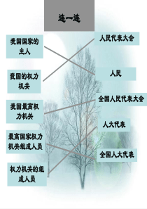 人民代表大会制度：我国的根本政治制度 2015最新