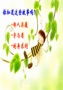 30《蚊子和狮子》课件02