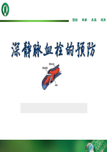 深静脉血栓的预防
