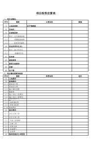 项目投资预算表