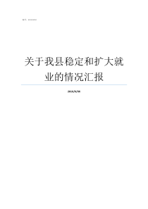 关于我县稳定和扩大就业的情况汇报县稳定促进就业