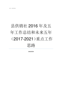 县供销社2016年及五年工作总结和未来五年20172021重点工作思路