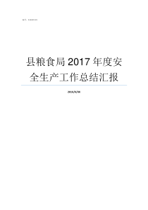 县粮食局2017年度安全生产工作总结汇报县粮食局局长