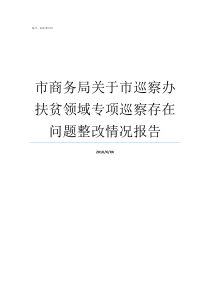 市商务局关于市巡察办扶贫领域专项巡察存在问题整改情况报告