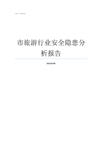 市旅游行业安全隐患分析报告
