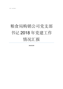 粮食局购销公司党支部书记2018年党建工作情况汇报粮食局下面的粮食公司
