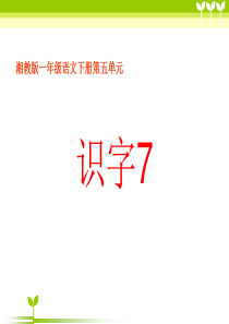 小学语文一年级下册《识字7》教学课件(湘教版)