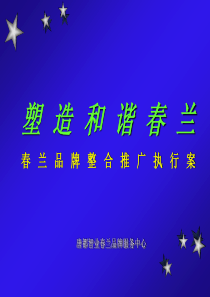 春兰文化经营规划（智业春兰）