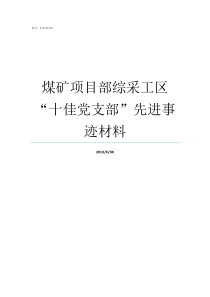 煤矿项目部综采工区十佳党支部先进事迹材料煤矿工