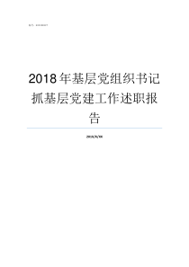 2018年基层党组织书记抓基层党建工作述职报告2018年度基层党组织