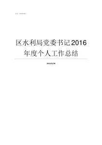 区水利局党委书记2016年度个人工作总结
