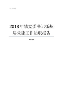 2018年镇党委书记抓基层党建工作述职报告