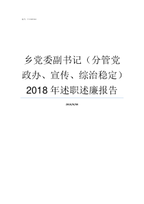 乡党委副书记分管党政办宣传综治稳定2018年述职述廉报告一般副书记分管什么