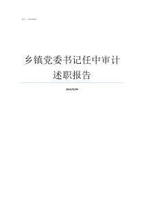 乡镇党委书记任中审计述职报告乡镇党委书记什么级别