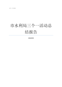 市水利局三个一活动总结报告水利局
