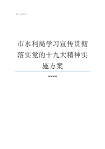 市水利局学习宣传贯彻落实党的十九大精神实施方案