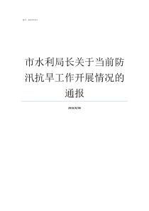 市水利局长关于当前防汛抗旱工作开展情况的通报叶县水利局班子成员