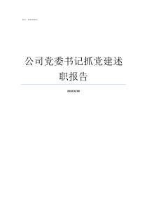 公司党委书记抓党建述职报告乡镇党委书记抓基层述党建