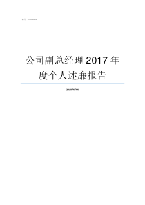 公司副总经理2017年度个人述廉报告
