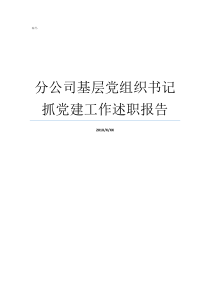 分公司基层党组织书记抓党建工作述职报告基层党组织
