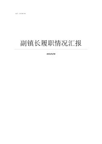 副镇长履职情况汇报