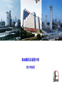 安庆石化800万概况