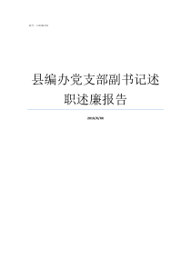县编办党支部副书记述职述廉报告党支部副书记如何产生