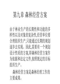 森林经营方案