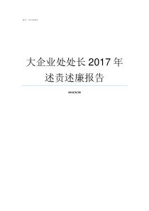 大企业处处长2017年述责述廉报告