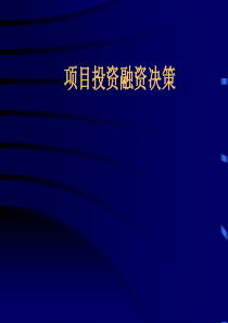 目投资融资决策