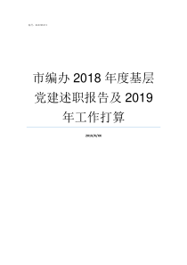 市编办2018年度基层党建述职报告及2019年工作打算