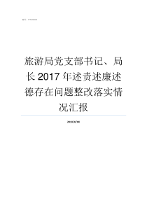旅游局党支部书记局长2017年述责述廉述德存在问题整改落实情况汇报局机关党支部书记