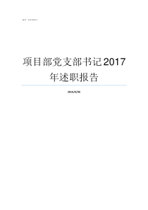 项目部党支部书记2017年述职报告如何做好党支部书记